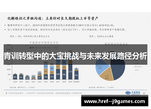 青训转型中的大宝挑战与未来发展路径分析