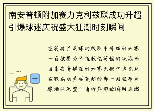 南安普顿附加赛力克利兹联成功升超引爆球迷庆祝盛大狂潮时刻瞬间 南安普顿附加赛力克利兹联成功升超引爆球迷庆祝盛大狂潮时刻瞬间
